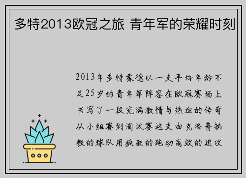 多特2013欧冠之旅 青年军的荣耀时刻